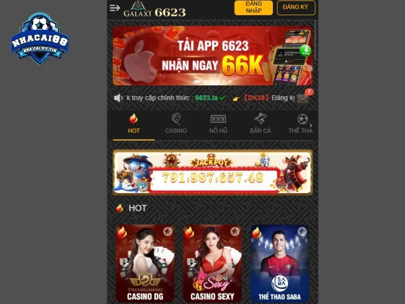 6623 là địa chỉ nhà cái uy tín tại Việt Nam