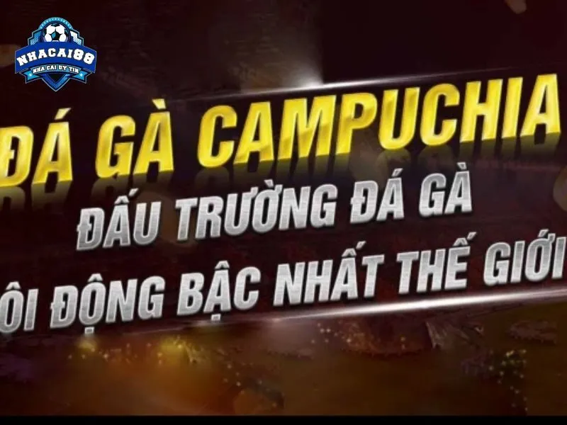 ALO789 là thiên đường của đá gà Campuchia
