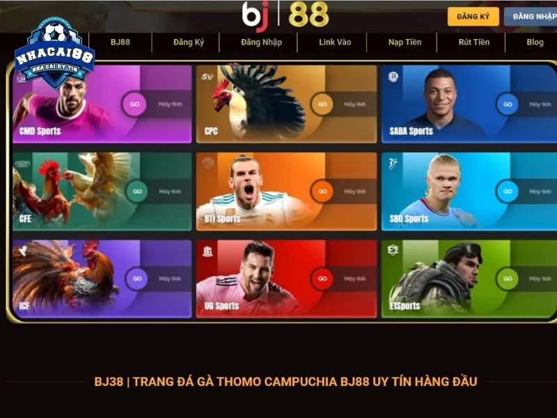BJ88 kết nối kênh phát Thomo độc quyền