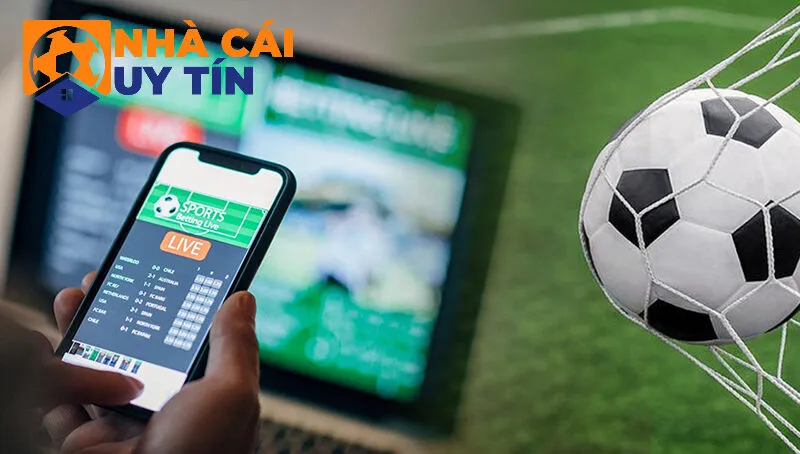 Phân tích kỹ các loại kèo từ nhà cái
