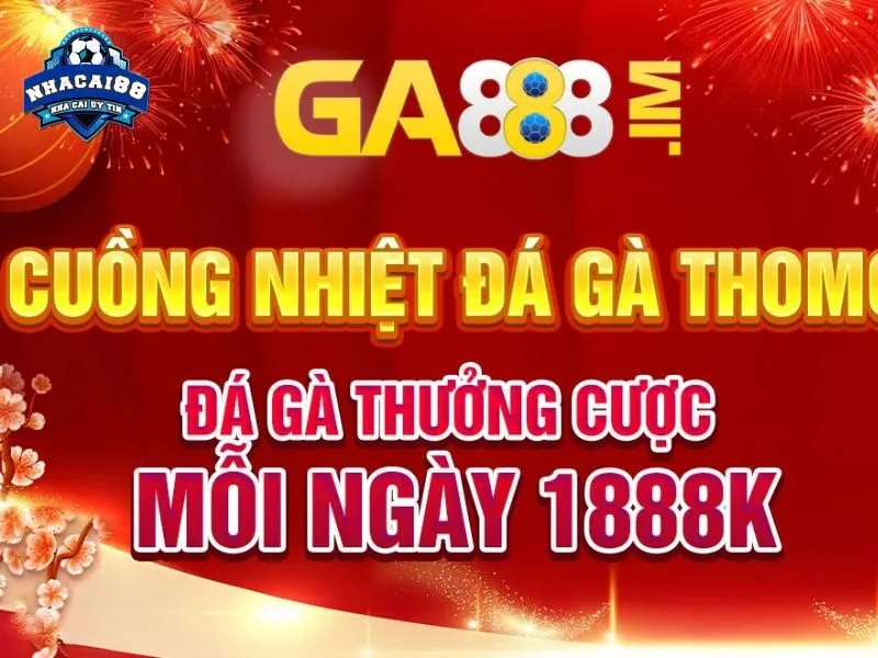 Đá gà 888 đủ mọi hình thức đá gà gay cấn