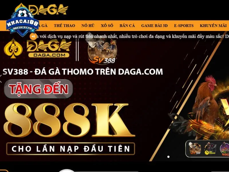 DAGA được đánh giá là chuyên trang đá gà số 1 Việt Nam