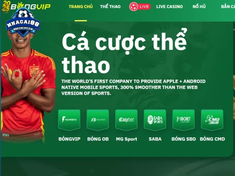 Đánh bài ăn tiền hay rất được yêu thích tại BONGVIP