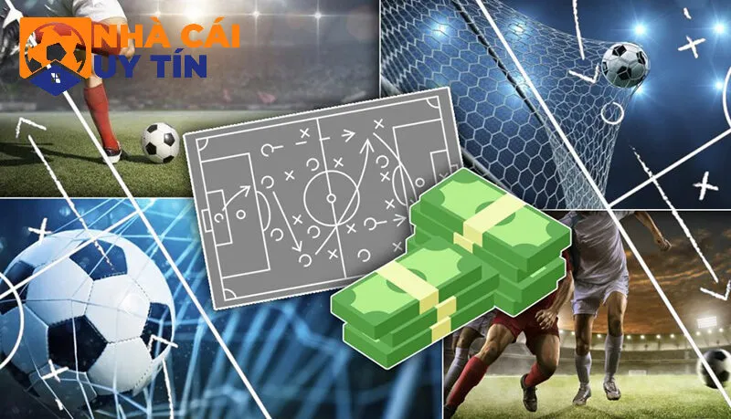 Cân đối các trường hợp rủi ro có thể xảy ra