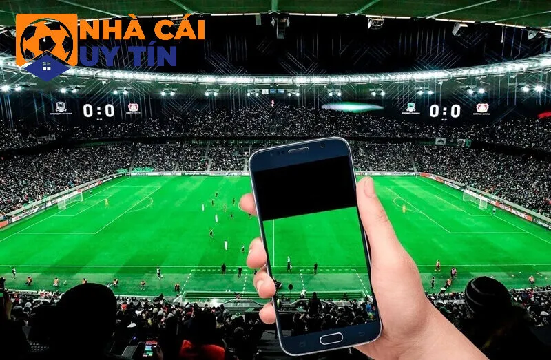 Kèo cược 1 1/4 được hiểu là gì?