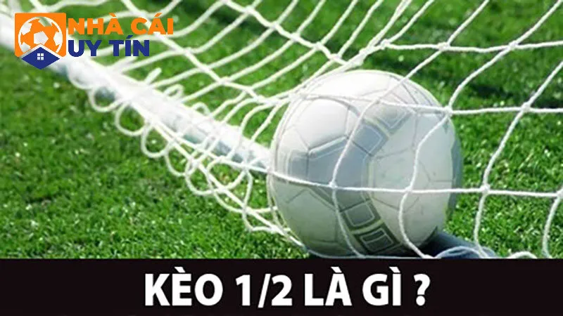 Tổng quan về kèo 1/2 là gì?