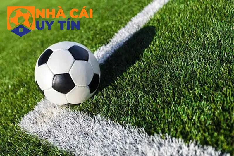 Theo dõi liên tục sự biến động về tỷ lệ đặt cược