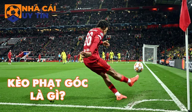 Kèo cược phạt góc cụ thể là gì?