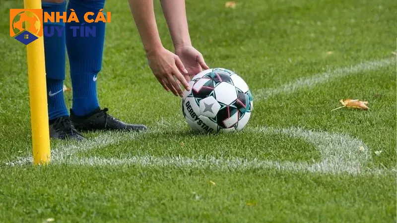 Bật mí kinh nghiệm đặt cược hiệu quả