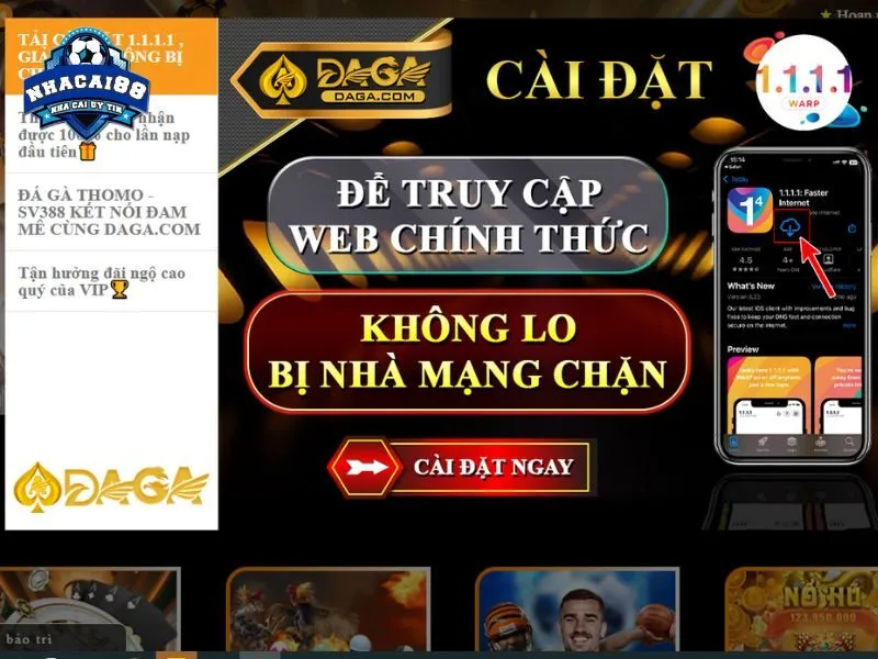 Nhà cái DAGA chuyên về hoạt động trực tiếp đá gà