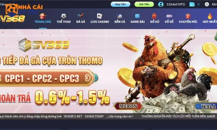 Nhà cái uy tín SV368 Những điều cần biết về nhà cái uy tín SV368