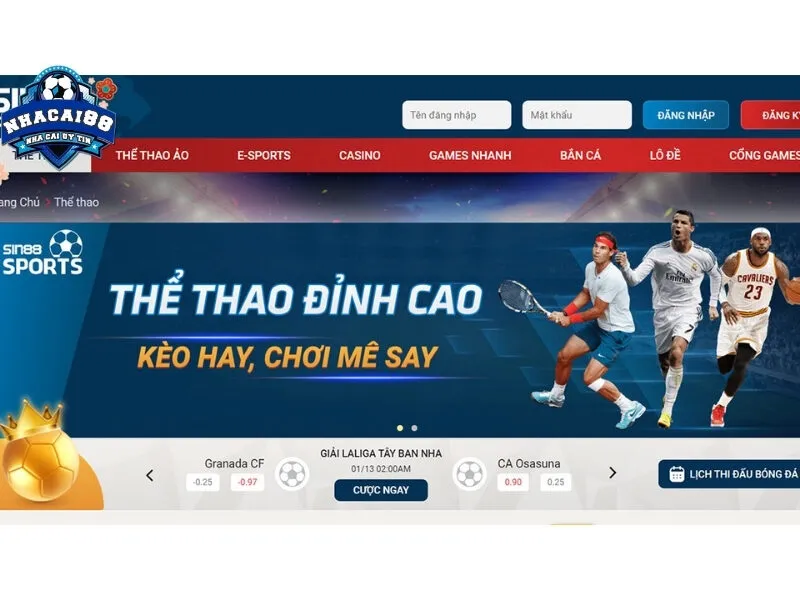 Sảnh cược thể thao với nhiều bộ môn hấp dẫn