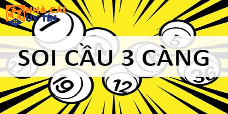 Hiểu rõ về soi cầu cược 3 càng