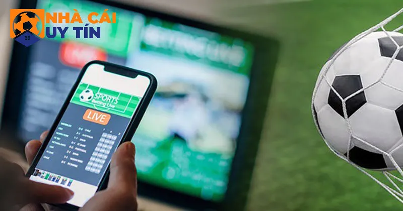 Đảm bảo nhà cái có tính minh bạch
