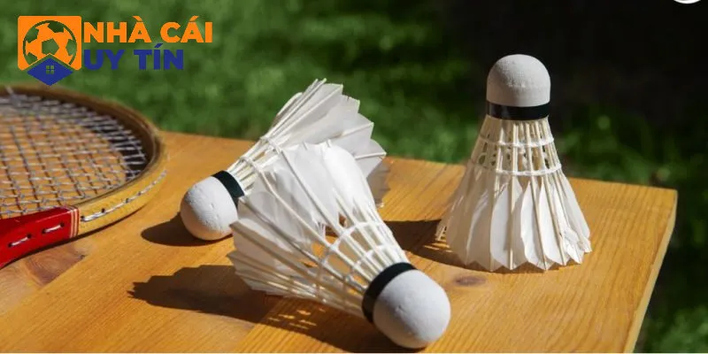 Lý do khiến kèo cược cầu lông hấp dẫn