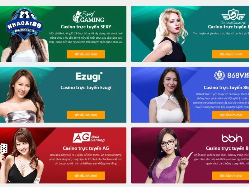 Tham gia cá cược tại ứng dụng của sân chơi
