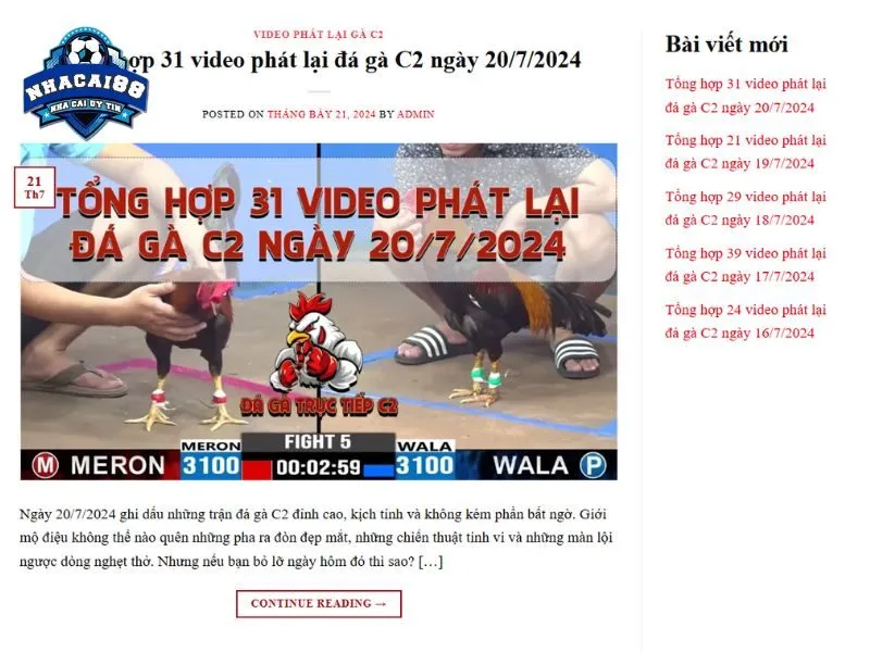 Theo dõi đá gà C2 trực tiếp trên Nhacai88