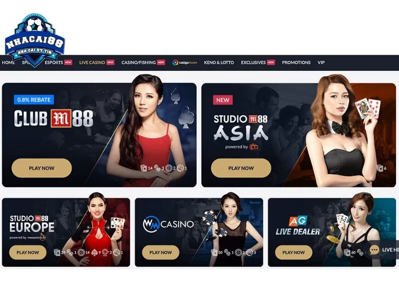 Tổng quan chung về nhà cái cá cược betasia