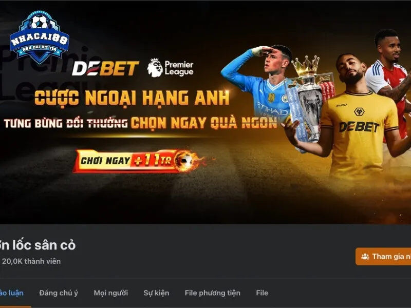 Tổng quan về nhà cái uy tín cá cược Debet