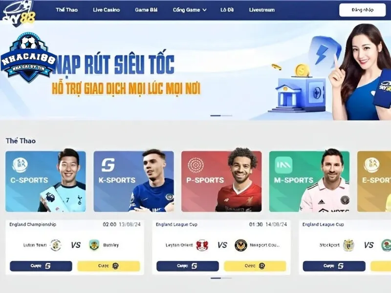 Tổng quan về nhà cái uy tín Sky88 trên thị trường