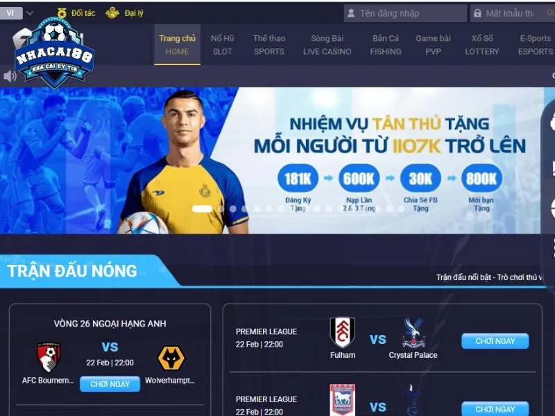 Truy cập 7Ball hôm nay nhận ngàn ưu đãi hot