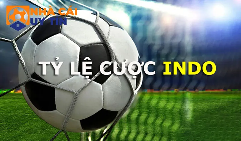 Cách chơi cược tỷ lệ kèo Indo