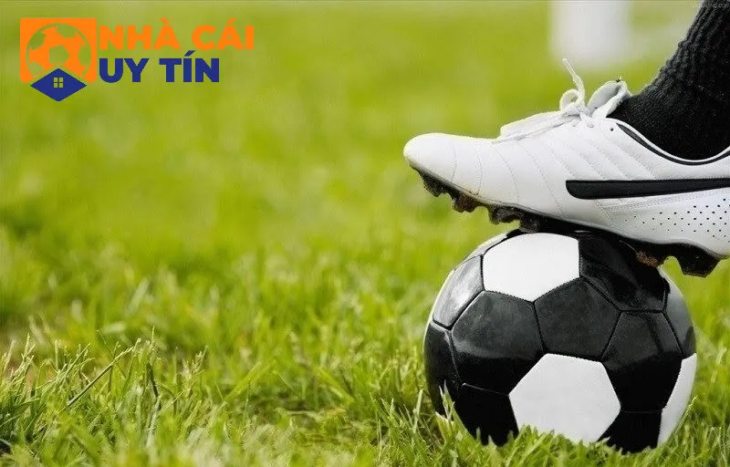 Mẹo chơi cược kèo indo chuẩn nhất