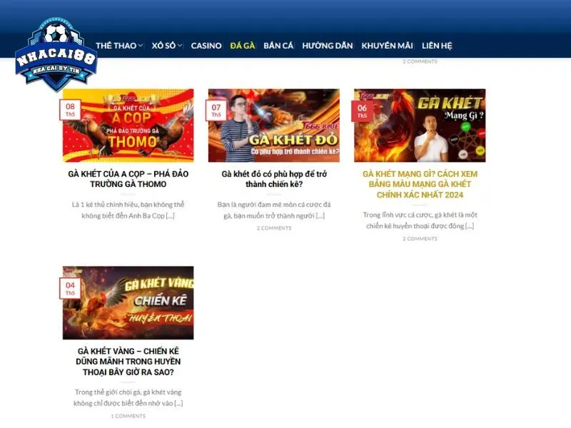 Xem live trực tiếp đá gà cực hay trên kênh C3